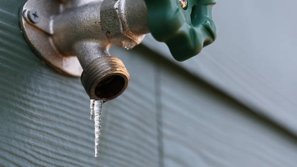 Best Plumbing Inspection Services  in Tolleson, AZ